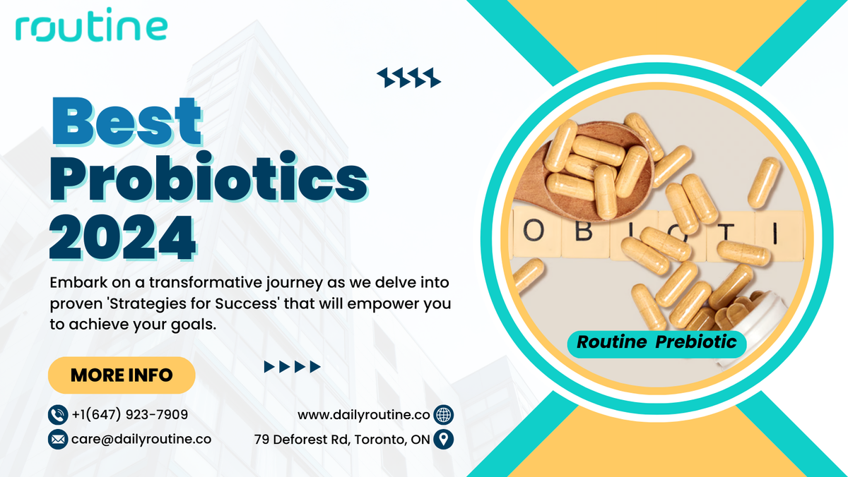 Best Probiotics 2024: A Guide To The Top Choices For A Healthy Gut ...