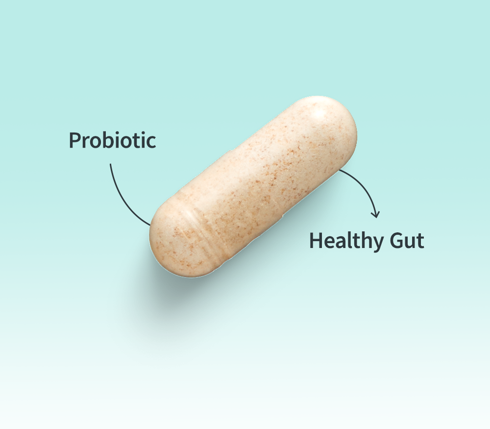 Poor Gut Health? Probiotics Are Your Savior